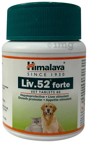 Himalaya Liv.52 Forte Vet Tablets – Pack of 2 | Liver Tonic for Dogs & Cats | 60 Tablets × 2 | Appetite & Liver Health Support Sellzoa