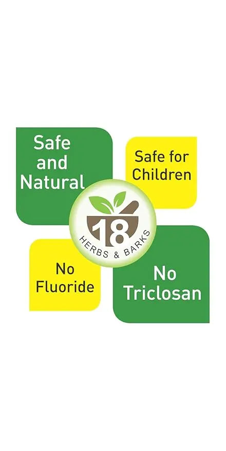 Vicco Vajradanti Saunf Flavour Toothpaste 160g (Pack of 2) – Ayurvedic Herbal Toothpaste for Strong Teeth & Fresh Breath Sellzoa