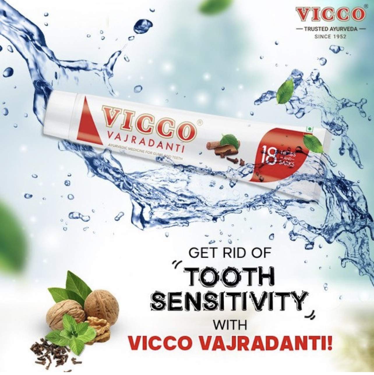 Vicco Vajradanti Ayurvedic ToothPaste Dalchini Flavour - 160g (Pack of 2)