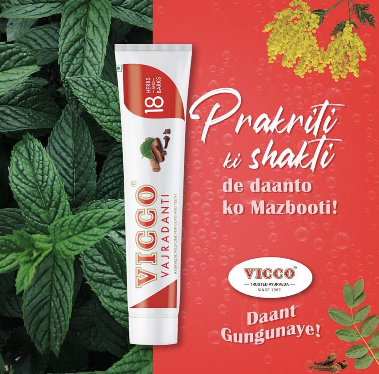 Vicco Vajradanti Ayurvedic ToothPaste Dalchini Flavour - 160g (Pack of 2)