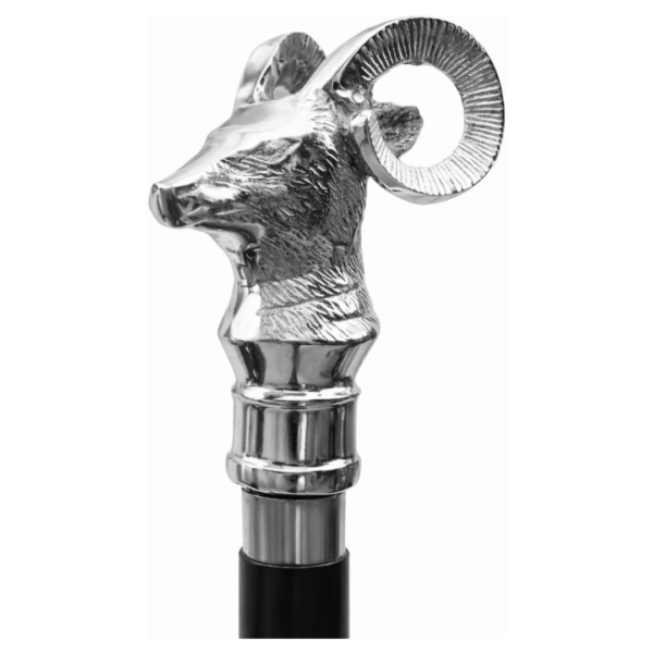 Alternative view of Silver Ram Head Walking Cane – 36 Inch Premium Wooden Walking Stick with Polished Metal Handle