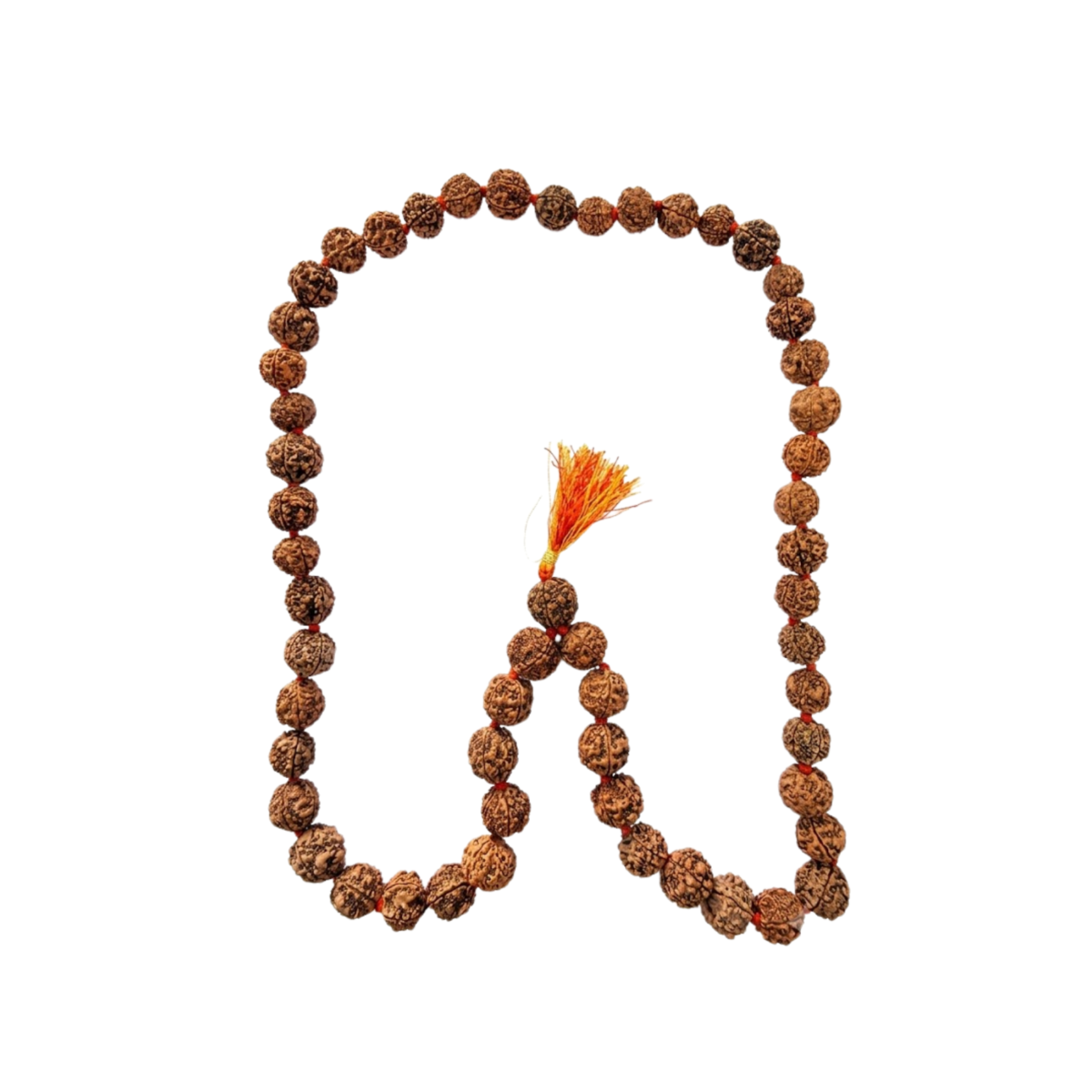 Original Nepal Rudraksha Japa Mala 54+1 Beads 18mm Prayer Necklace