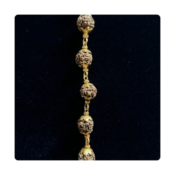 Original 5 Mukhi Rudraksha Gold Link Mala Necklace with Certificate - Product Image 2