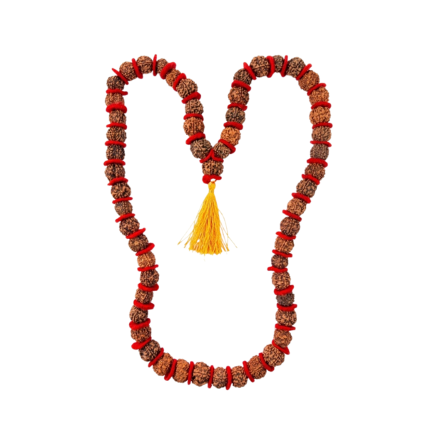 Natural Nepal 5 Mukhi Rudraksha Japa Mala 54+1 Beads 18mm Handmade Prayer Mala
