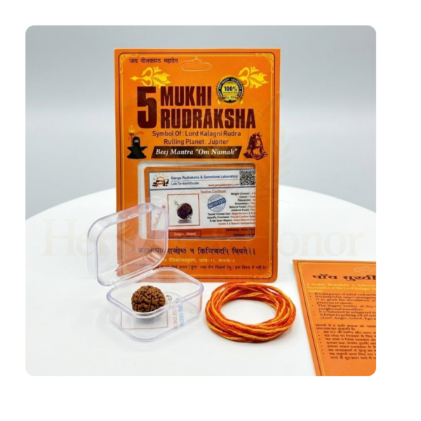 Original 5 Mukhi Rudraksha Pendant Necklace with Silk Thread, Authentication Certificate & Storage Box