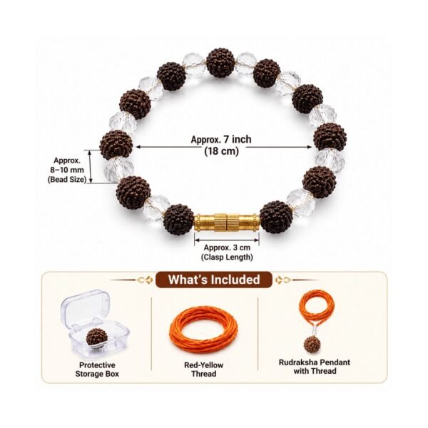 5 Mukhi Rudraksha Bracelet with Crystal Beads & Golden Clasp