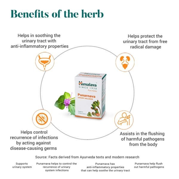 Himalaya Punarnava Tablets 60 Count Pack of 2 Herbal Supplement - Product Image 2