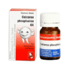 Dr. Reckeweg Calcarea Phosphorica 6X Tablets Pack of 2